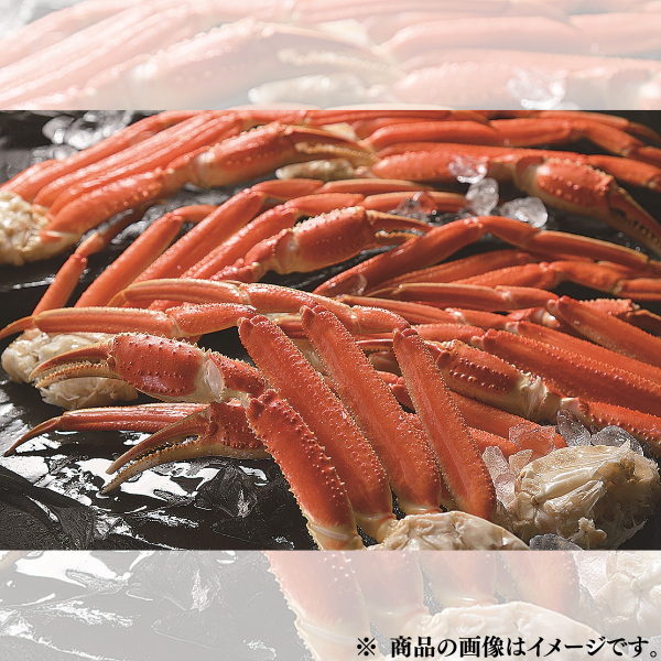 ずわいがに脚　2kg